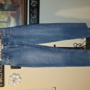 Rails Womens Blue Denim Jeans Waist Size 29 The Topanga High Rise Straight